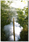 Smoke from the Ritual Fire